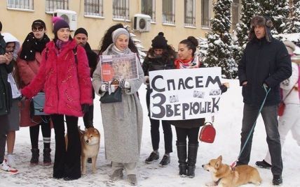 Даша Астафьева в лютый мороз вышла на митинг на улицы Киева