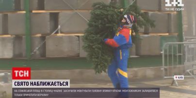 Головну ялинку країни прикрасять у тематиці різдвяної дивоночі | Новини України