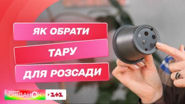 Все о емкостях для садоводства: Антонина Лесык рассказала, как выбрать тару для рассады