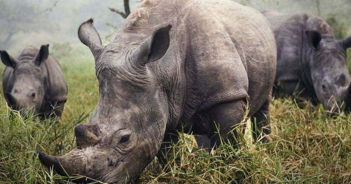 Фотографии передают страсть к путешествиям / © national geographic