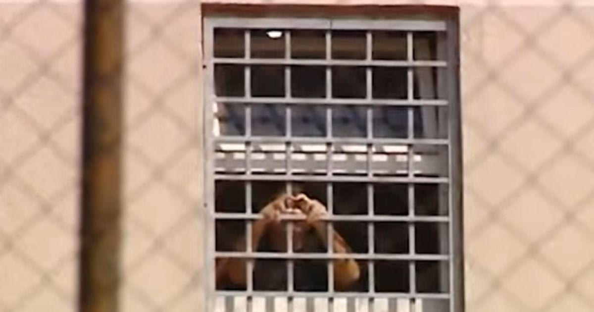 Скриншот видео