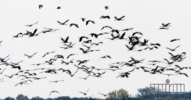 Діалог На Тему Несподівана Зустріч