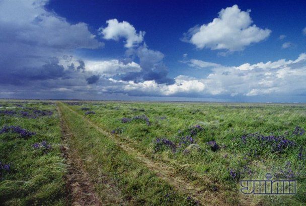 Діалог На Тему Несподівана Зустріч