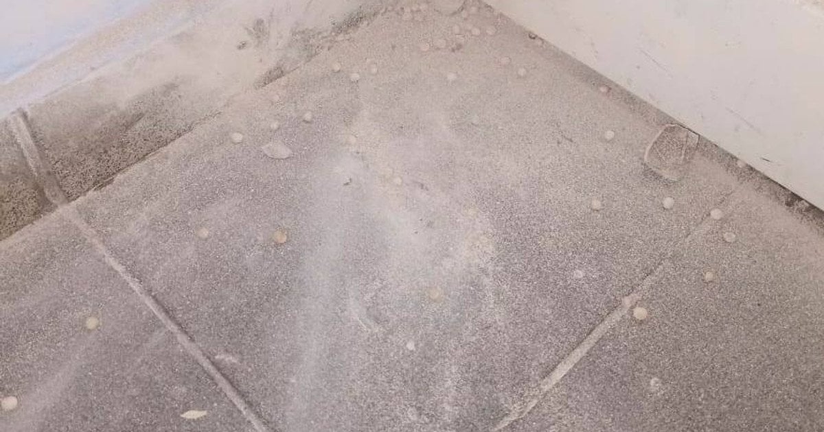 Учень приніс гранату до школи