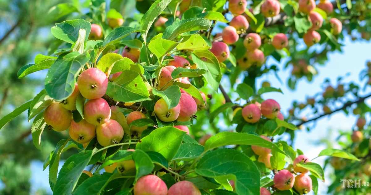 Гороскоп на 28 серпня для всіх знаків зодіаку