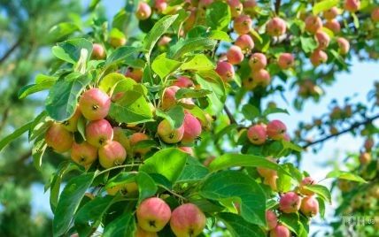 Гороскоп на 28 серпня для всіх знаків зодіаку: день, коли треба переходити до активних дій