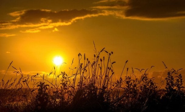 21 червня День літнього сонцестояння / © pexels.com