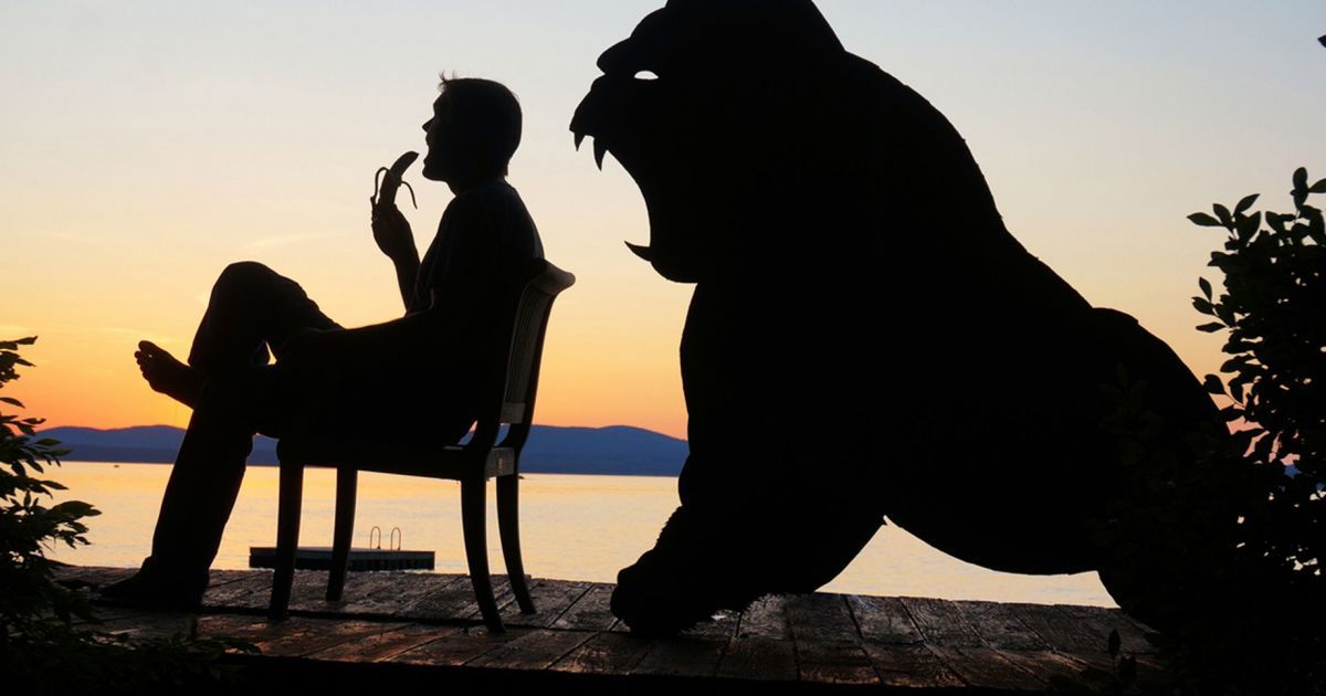 Креативный художник превратил кучу картона на волшебных монстров