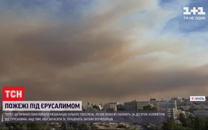 Возле старинного Иерусалима разгорелись лесные пожары: людей эвакуировали (видео)
