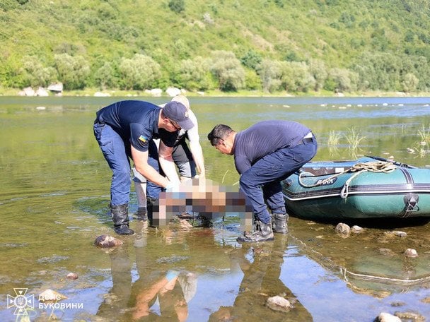 В Дністрі знайшли тіло дитини / © ДСНС