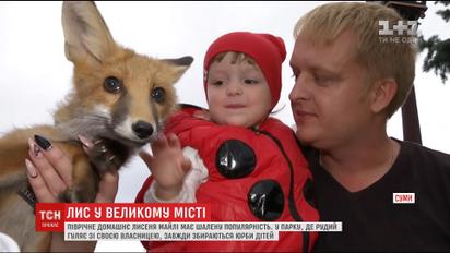 У Сумах зіркою і улюбленцем дітей стало піврічне лисеня Майлі
