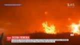 Масштабна пожежа охопила Каліфорнійські ліси