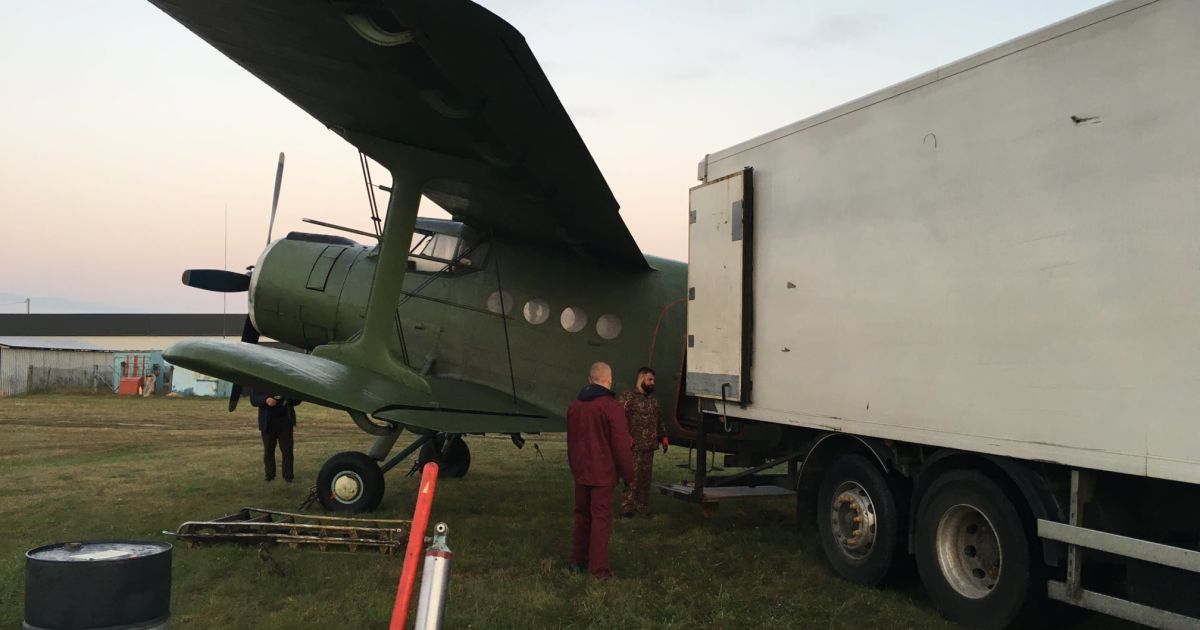 У Київській області вакцину проти сказу для тварин розкидали з літаків