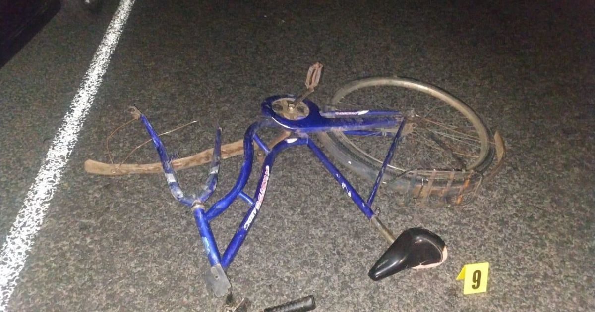 У Сумській області водій іномарки на смерть збив велосипедиста: фото