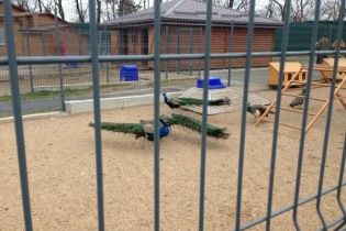 Еду Януковича проверяли на радиацию, а воду очищали 12 раз