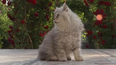 будинок Данилюка_1 / © ТСН