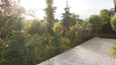 будинок Данилюка_6 / © ТСН