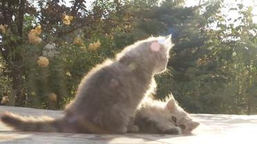 будинок Данилюка_8 / © ТСН