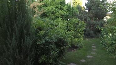 будинок Данилюка_5 / © ТСН