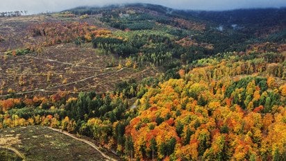 Гороскоп на 21 ноября