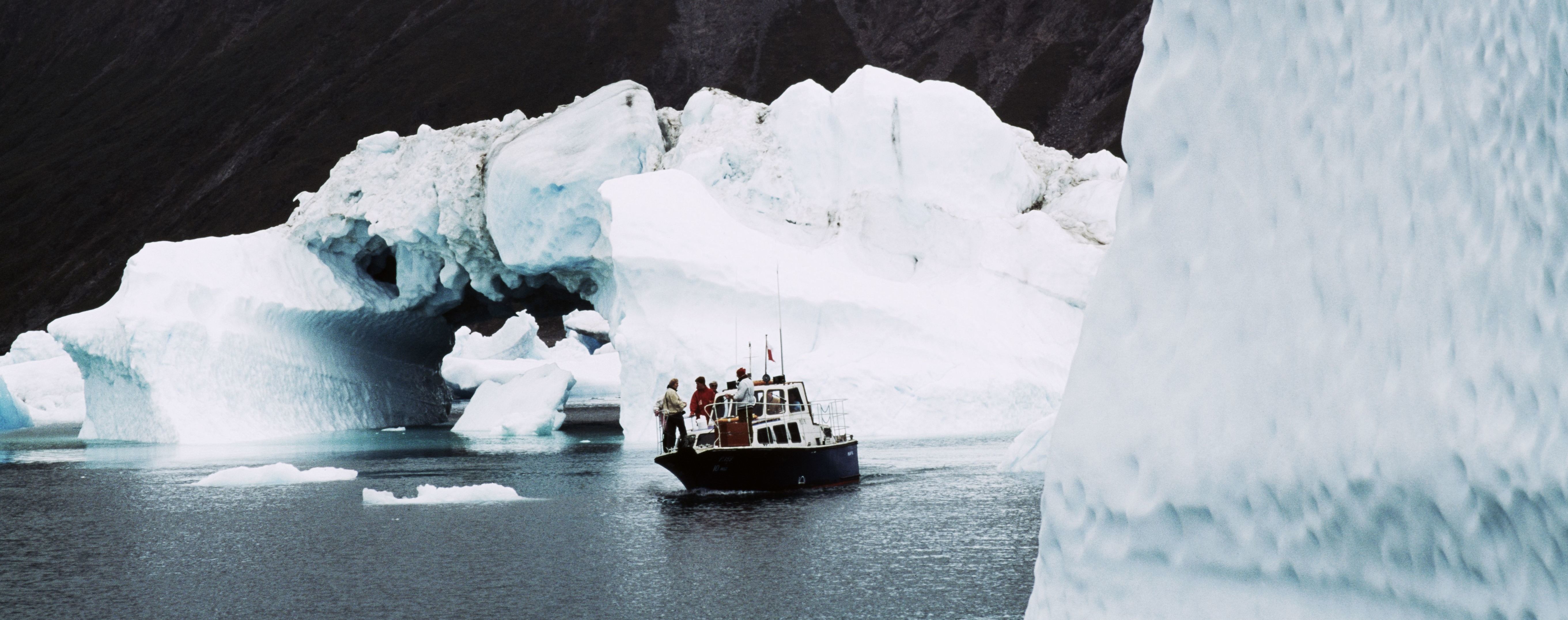 Ученые обеспокоены быстрым таянием ледника в Гренландии и появлению темных водорослей на нем