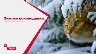 Зимнее похолодание: стоит ли украинцам готовить теплые варежки и шапки