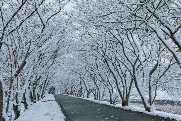 2 лютого похмура погода — варто чекати на суворі морози / © Pexels