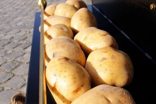 С сегодняшнего дня РФ запретила ввоз украинской картошки