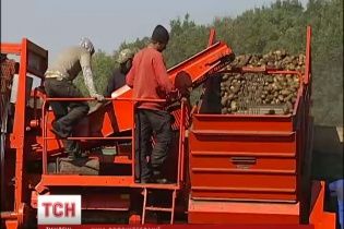 Українські городина та фрукти мають всі шанси витіснити в Європі турецьких конкурентів