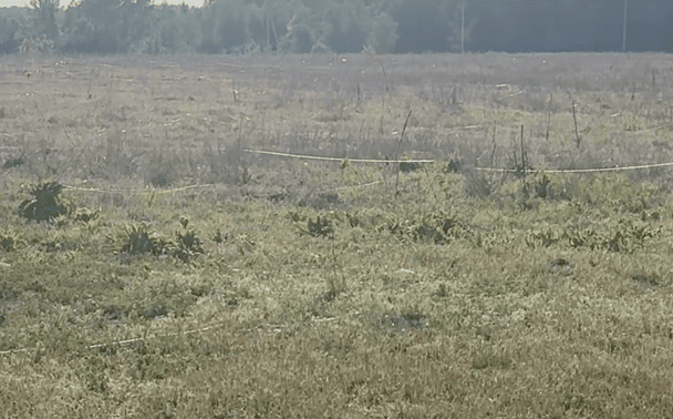 Поле на прифронтових територіях в Україні, вкрите оптоволокном.  / © Сергій Бескрестнов «Флеш»