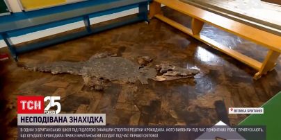 В школе Британии обнаружили скелет столетнего крокодила