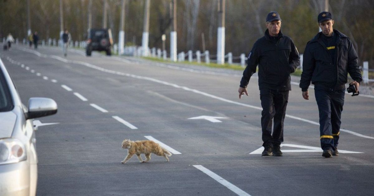 Председатель Луганской ВГА рассказал, какая ситуация с коронавирусом на оккупированной территории