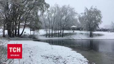 Полтавську область вже годину засипає лапатим снігом