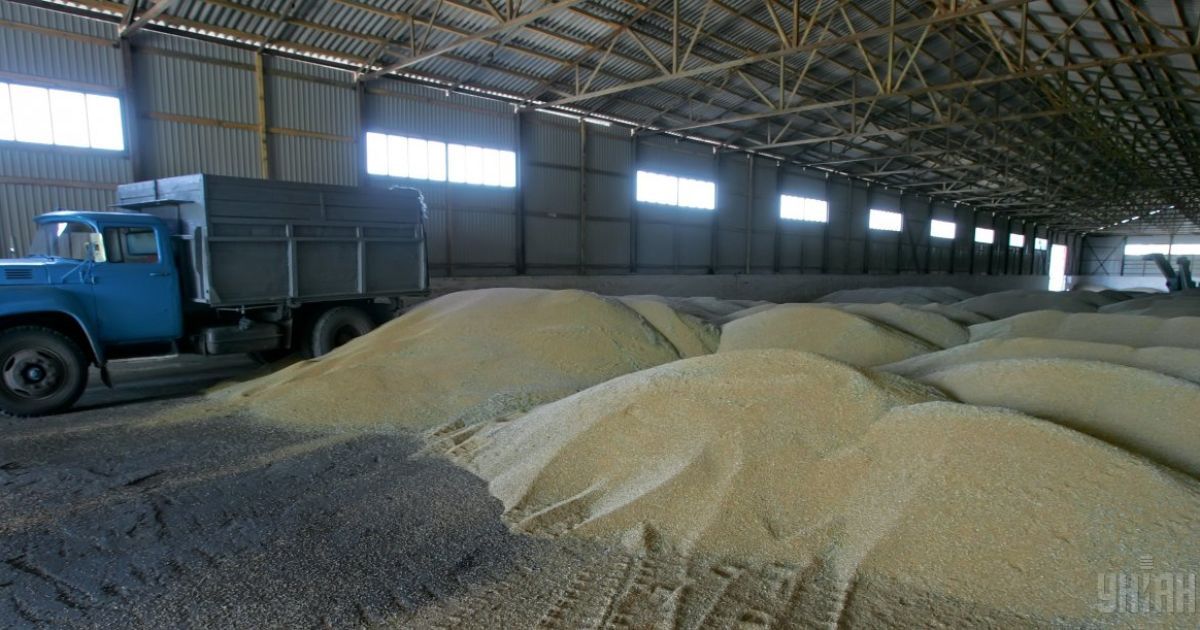 Основной культурой в украинском экпорте зерновых является пшеница