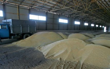 Украина отправила на экспорт почти 24 миллиона тонн зерновых