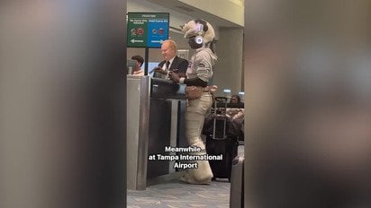 Пасажирка пронесла кота до аеропорту, удавши, що це капелюх