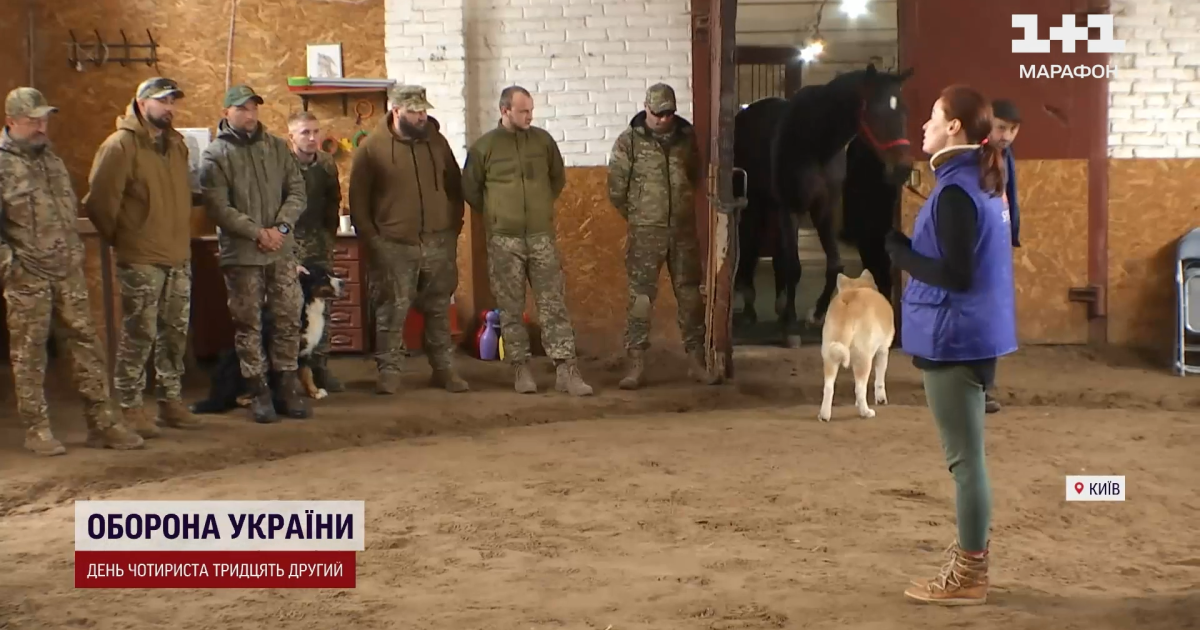 Бойцы из Бахмута на иппотерапии