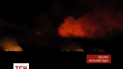 В Одесской области горят заводи Днестра