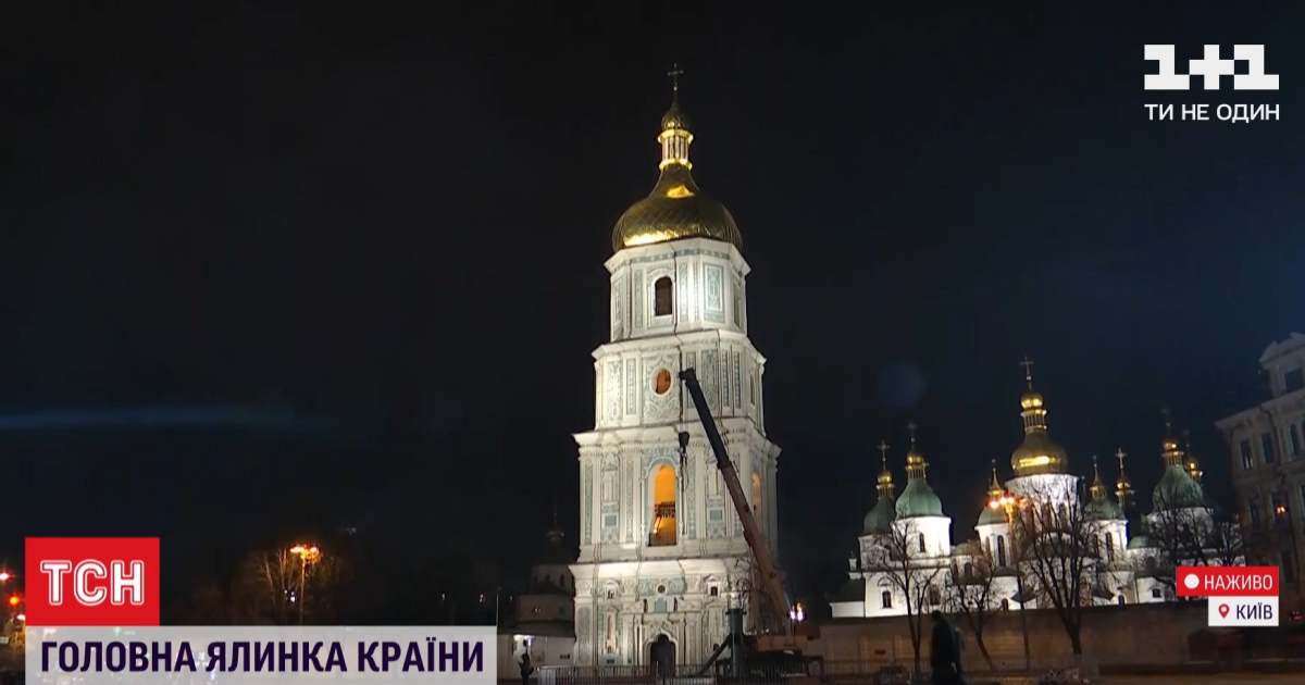 97 тонн та 500 тисяч гілок: у Києві почали встановлювати головну новорічну ялинку України