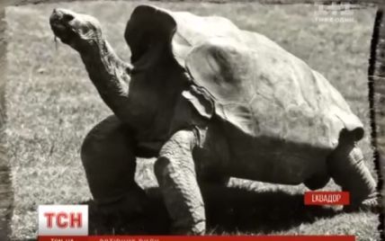Самец черепахи по имени Диего спас свой вид от вымирания