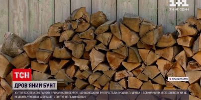 Новини України: на Прикарпатті через відсутність дров назріває бунт