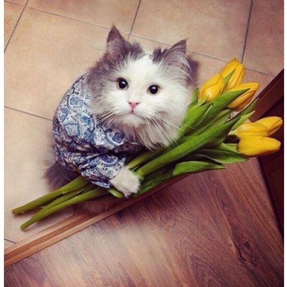 Звезды в Instagram_6