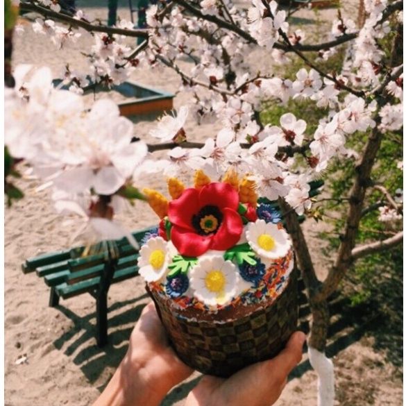 Обзор Instagram_14