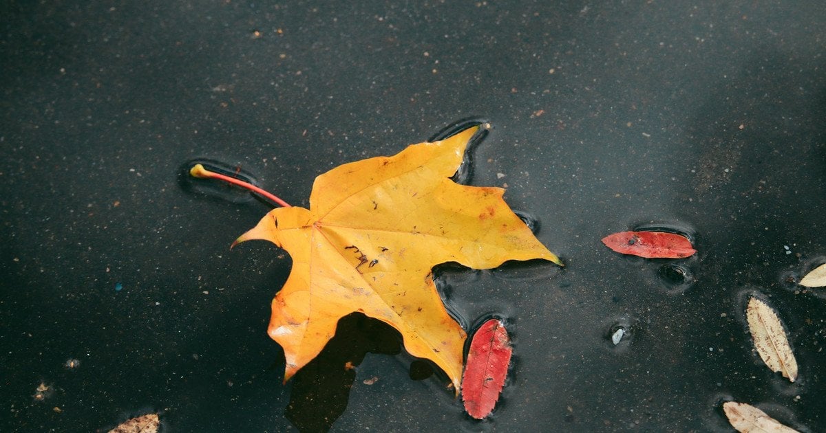 Какой сегодня, 25 сентября, день ангела