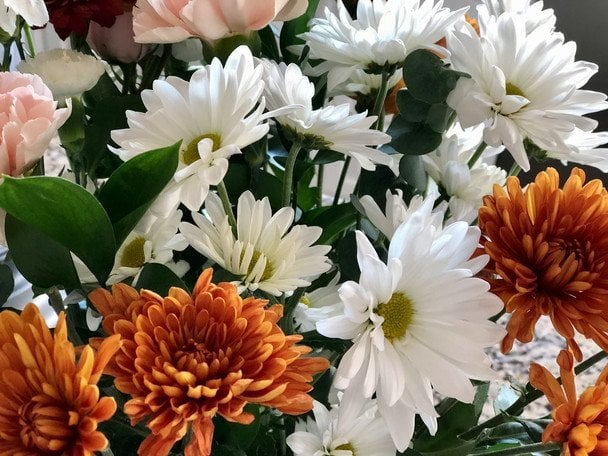 День ангела 25 листопада — душевні привітання в прозі / © unsplash.com