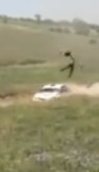 На Николаевщине во время соревнований от удара гоночного авто погиб зритель