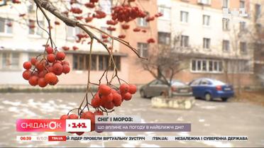 Чего ждать от погоды на этой неделе