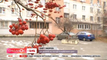 Чего ждать от погоды на этой неделе