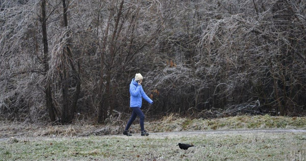 Среда будет преимущественно сухой: прогноз погоды в Украине на 15 декабря