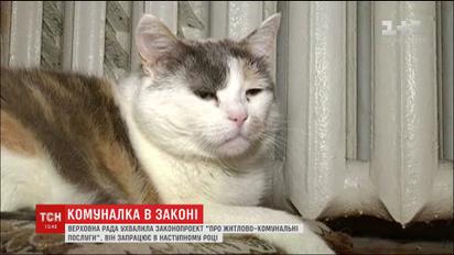 Плата за результат и пени за просрочку: депутаты проголосовали за реформу ЖКУ